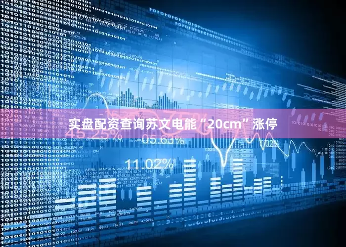 实盘配资查询苏文电能“20cm”涨停