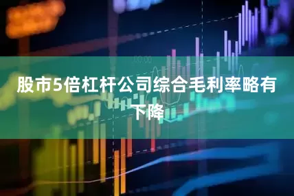 股市5倍杠杆公司综合毛利率略有下降