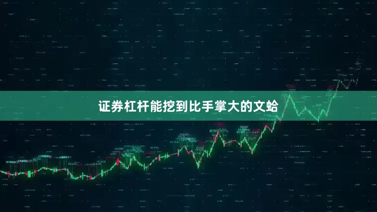 证券杠杆能挖到比手掌大的文蛤